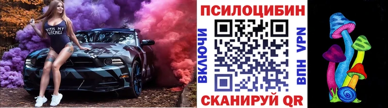 даркнет клад  Ленинск-Кузнецкий  Галлюциногенные грибы Psilocybe 